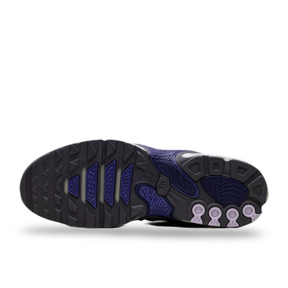 Nike Air Max Plus Drift, Concord edition.